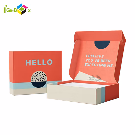 Carton Paper Shoes and Clothing Packaging Box Gift Packaging Box with Custom Logo