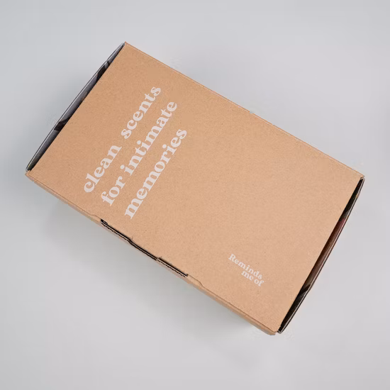 Wholesale Garment Clothing Underwear Shipping Box Corrugated Cardboard Box Custom Printed Carton Mailer Box with Logo